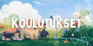 lahjaksi tunnetaitoja (6)